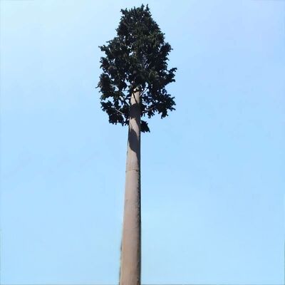 Bionic Tree Tower 인공 충격 강도 KV 27줄, 다양한 온도에서의 구조적 신뢰성