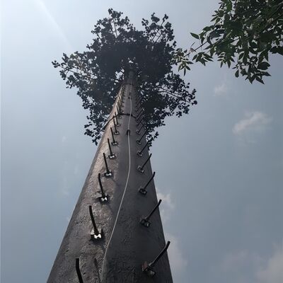 18 27 35Meter 리조트 호텔 조경을 위한 위장된 야자나무 통신 타워
