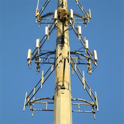 자급자족 가격 Wifi 장거리 휴대전화 작업 플랫폼 마이크로 웨이브 안테나 강철 모노폴 타워