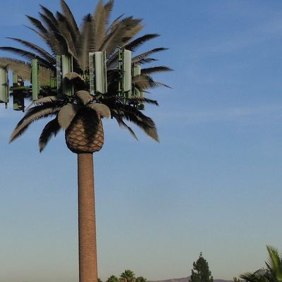 감전된 GSM 모바일 바이오닉 팜 트리 안테나 타워 싱글 폴 5g 타워 위장