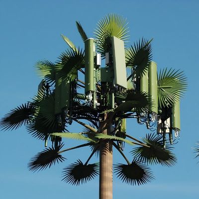 감전된 GSM 모바일 바이오닉 팜 트리 안테나 타워 싱글 폴 5g 타워 위장