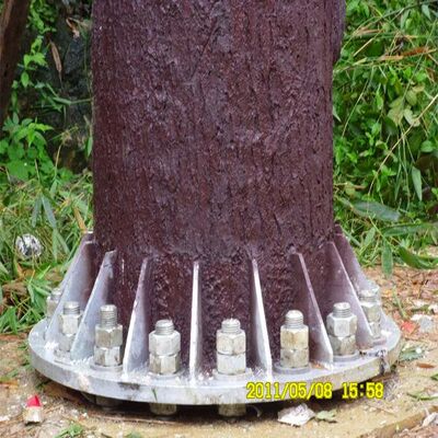 10 16 22M 주거 지역 생체 공학 나무 위장된 아연 도금 강철 자활하는 옥외 5G 4G 와이파이 통신 타워