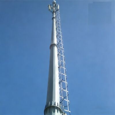 16 24 32M 도시 미적 모노폴 아연 도금 강철 자립 야외 5G 4G 위성 조경 통신 타워