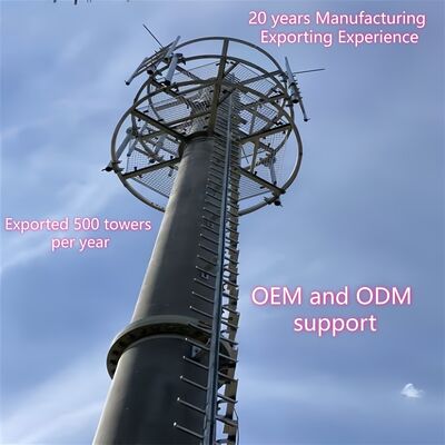 16 24 32M 도시 미적 모노폴 아연 도금 강철 자립 야외 5G 4G 위성 조경 통신 타워