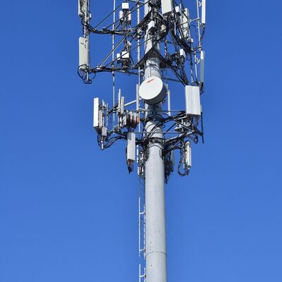 16 24 32M 도시 미적 모노폴 아연 도금 강철 자립 야외 5G 4G 위성 조경 통신 타워