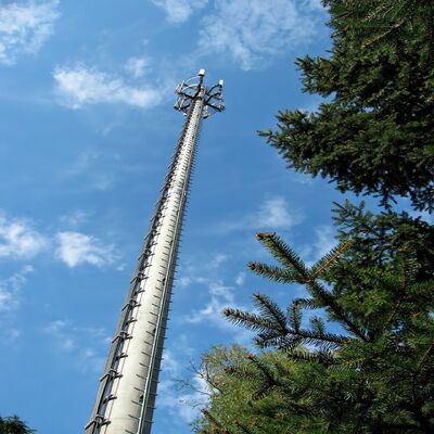 12 18 24M 조밀한 모노폴 직류 전기를 통한 강철 자활하는 옥외 5G 4G Wifi 작은 공간 통신 탑