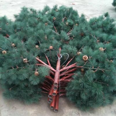 맞춤형 높이 및 나무 종 옵션을 갖춘 35M 바이오닉 트리 타워, 5G 안테나, 마이크로파 장치 및 센서 지원