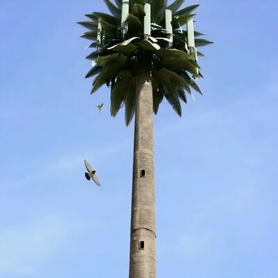 ANSI TIA 222 G H F 및 EN 1991 1 4 EN 1993 3 1 설계 코드에 따른 Bionic Tree Tower 인공 구조물