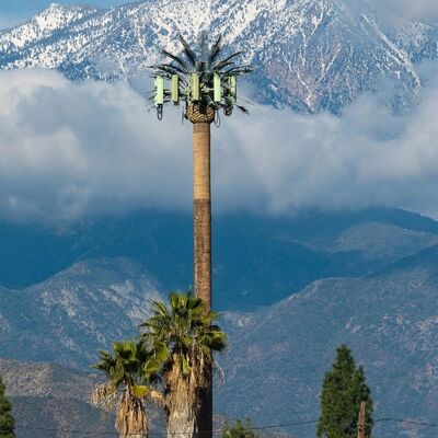 ANSI TIA 222 G H F 및 EN 1991 1 4 EN 1993 3 1 설계 코드에 따른 Bionic Tree Tower 인공 구조물