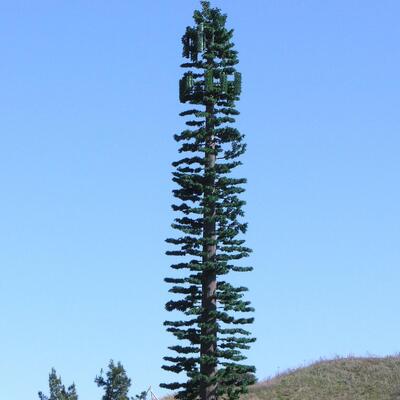 Bionic Tree Tower 인공 충격 강도 KV 27줄, 다양한 온도에서의 구조적 신뢰성