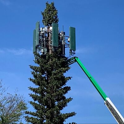 Bionic Tree Tower 인공 충격 강도 KV 27줄, 다양한 온도에서의 구조적 신뢰성
