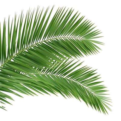 Bionic Tree Tower artificial featuring design codes ANSI TIA 222 G H F and EN 1991 1 4 for structural safety