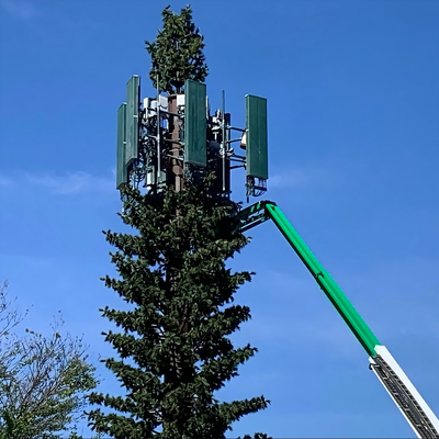 5G 무선 네트워크를 위한 친환경 위장 바이오닉 소나무 타워 미적 통합 바이오닉 야자수 통신 마스트 공장