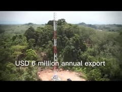 2.3 다리 철통신탑