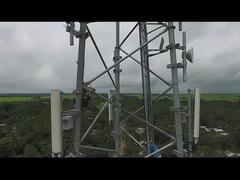 1.3 다리 튜버 철탑