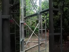 6.3 다리 튜버 철탑