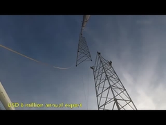 9.3 다리 튜버 철탑