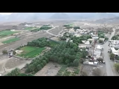 12.3 다리 튜버 철탑