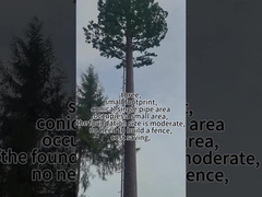 바이오닉 트리 타워